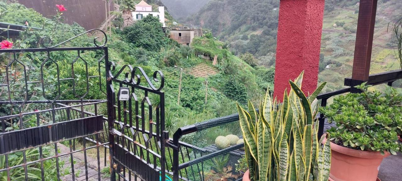 Garden Of Celestial Delights 3 Santana (Madeira) Exterior foto